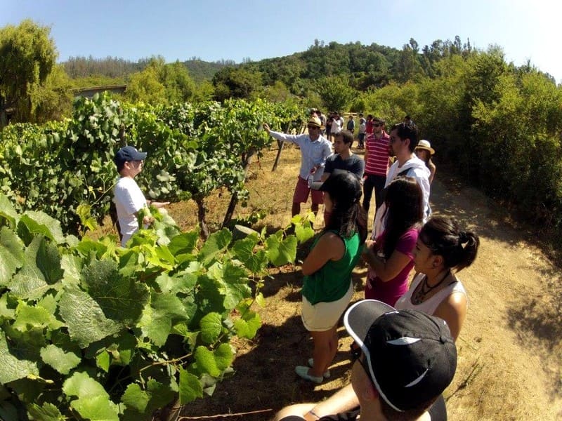 Copas, Vino… ¡Equipo!