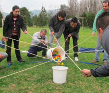 Talleres de Trabajo en Equipo