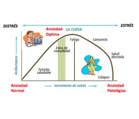 Impacto de los Riesgos Psicosociales en la Salud Mental (continuación)